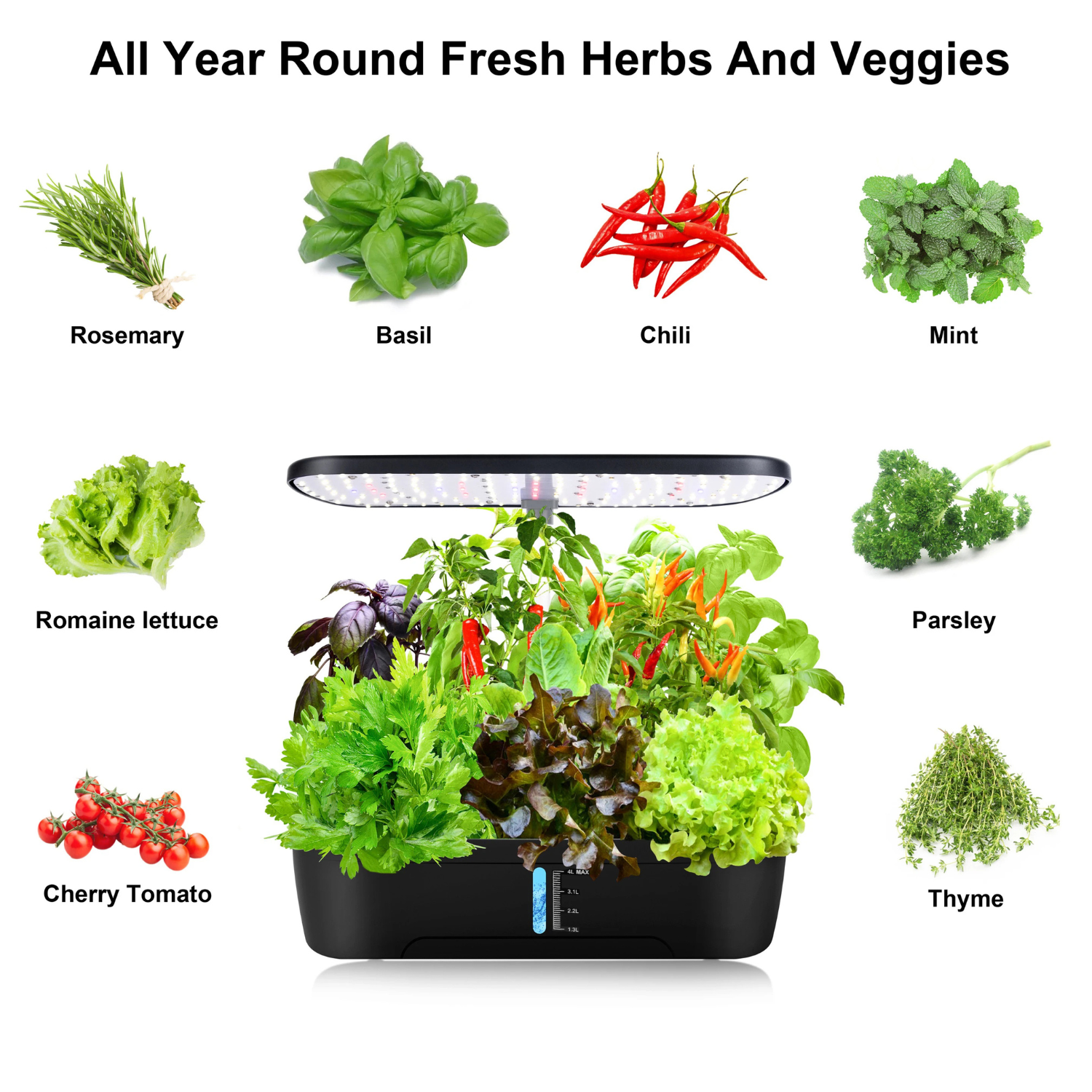 Indoor hydroponic garden