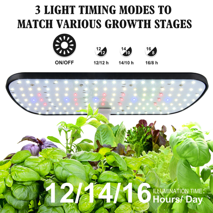 Indoor hydroponic garden