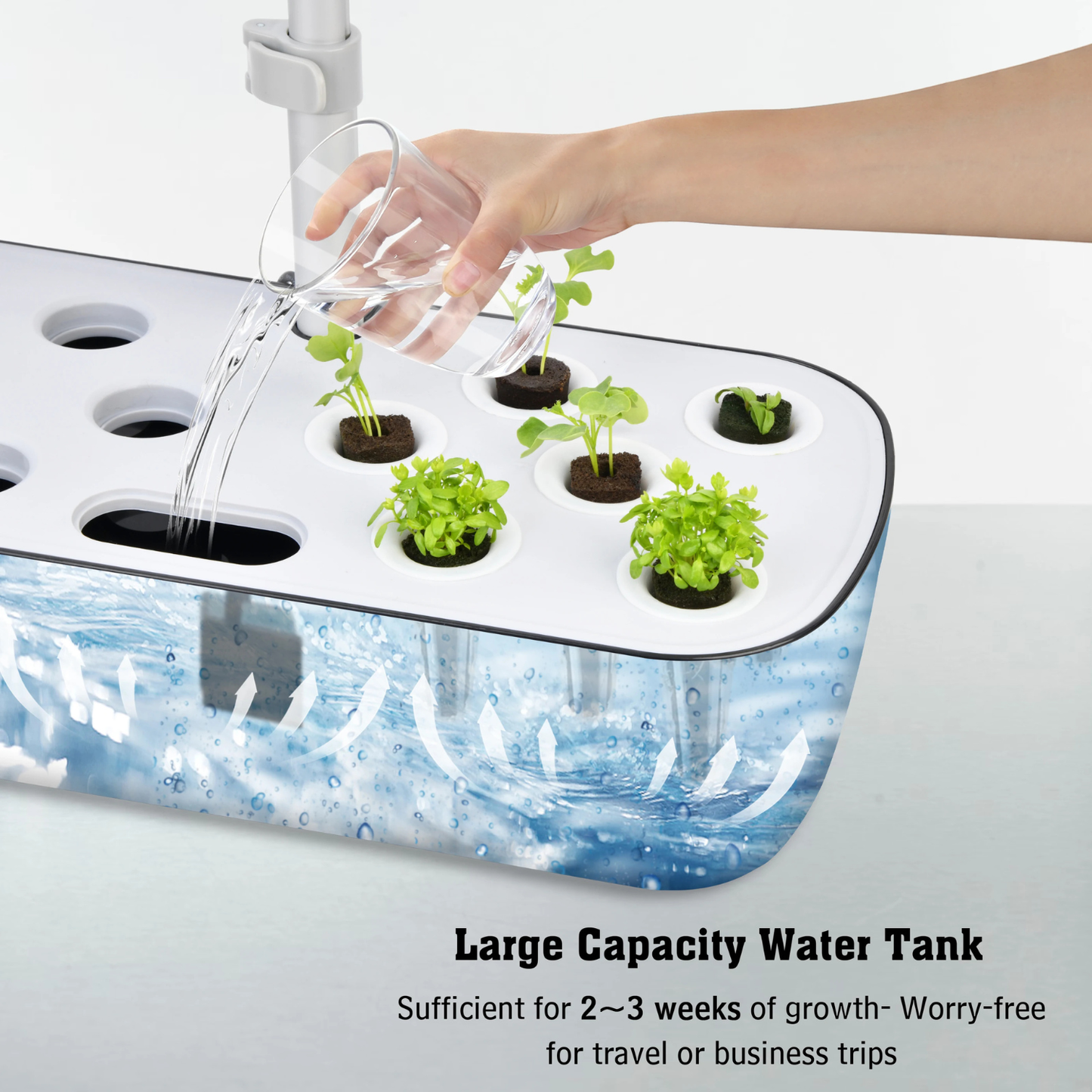 Indoor hydroponic garden