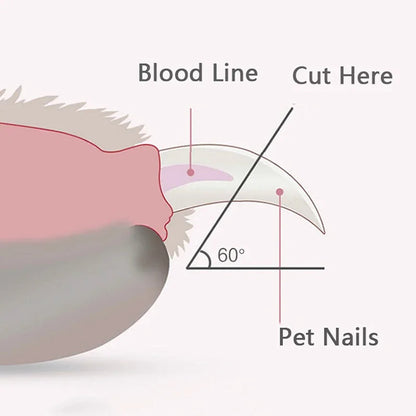 led pet nail clipper