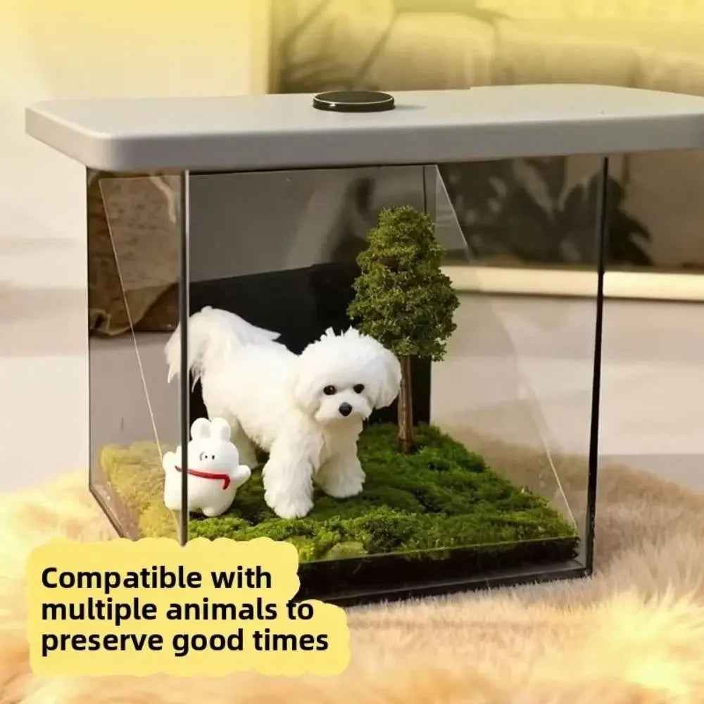 Dog Memorial Gifts – Personalized Pet Memorial Shadow Box Display, Pet Memory Box for Dogs & Cats, Dog Keepsake Box with Photo