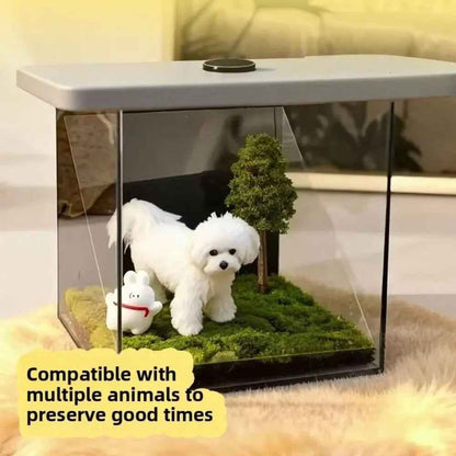 Dog Memorial Gifts – Personalized Pet Memorial Shadow Box Display, Pet Memory Box for Dogs & Cats, Dog Keepsake Box with Photo