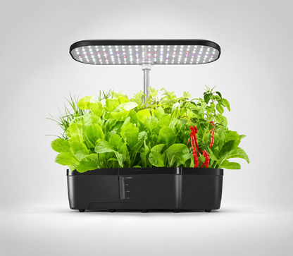 Indoor hydroponic garden